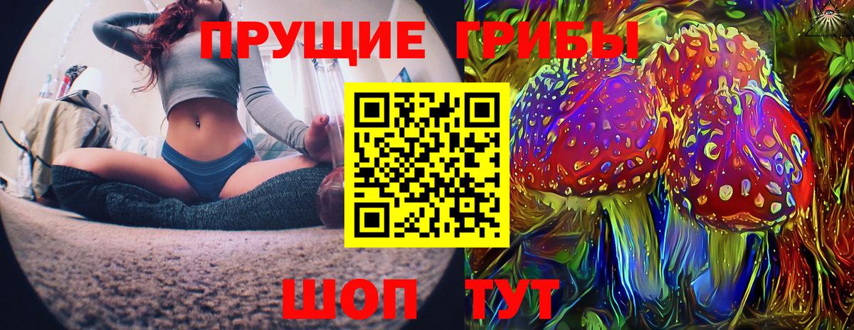 Брянск  Псилоцибиновые грибы Psilocybe  Вход с VPN 